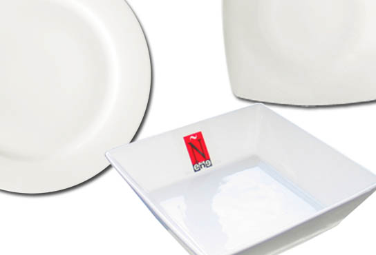 01 PLATES PROFESSIONAL