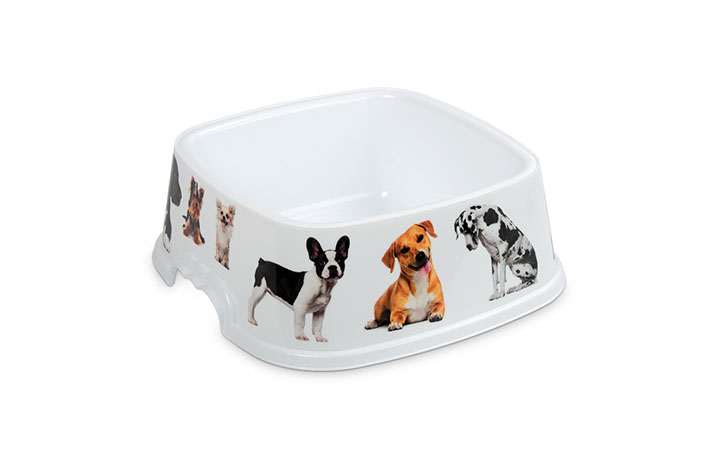 01 PERROS / GATOS