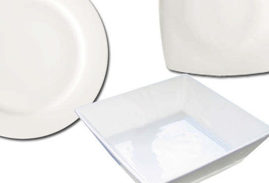 01 PLATES PROFESSIONAL