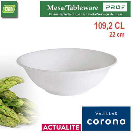 ENSALADERA 22 CM 1092CC ACTUALITE